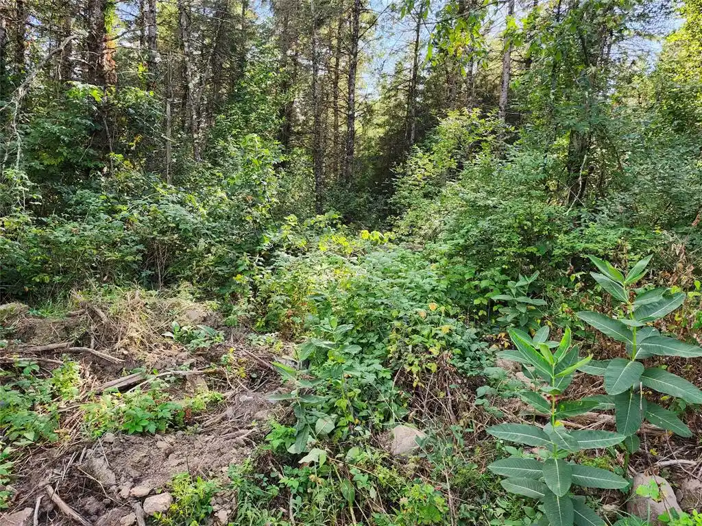 Photo 3 of Land for sale at 7821w Koeppler Rd, Ojibwa, WI 54862 | MLS# 1604981 | Listing updated on 2026-09-09