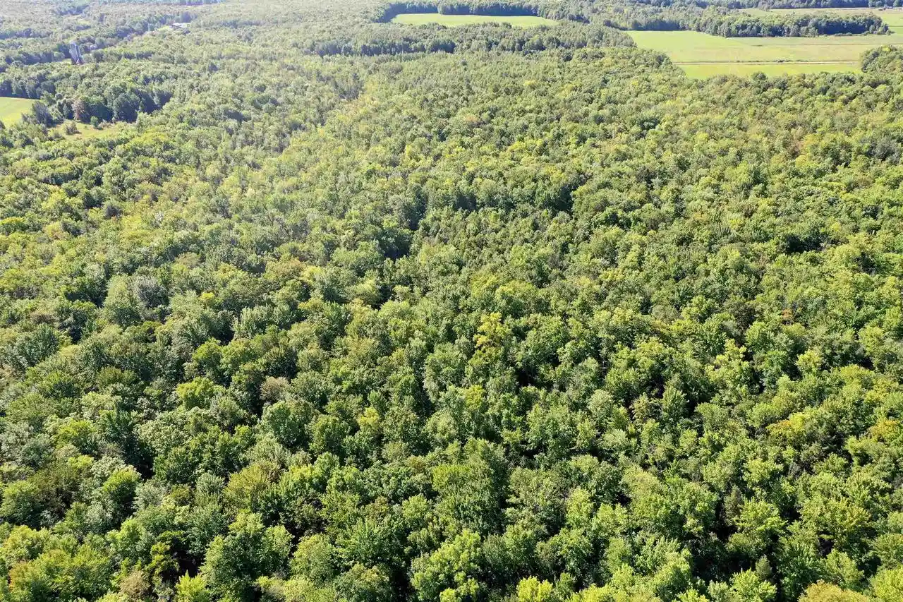 Photo 2 of Land for sale at +/ 80 Acres Pine Ave, Medford, WI 54451 | MLS# 22604457 | Listing updated on 2026-09-15