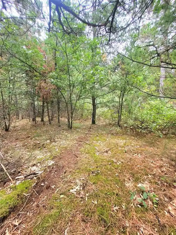 Photo 3 of Land for sale at 0 Blueberry Rd, Gordon, WI 54838 | MLS# 1604990 | Listing updated on 2026-09-10