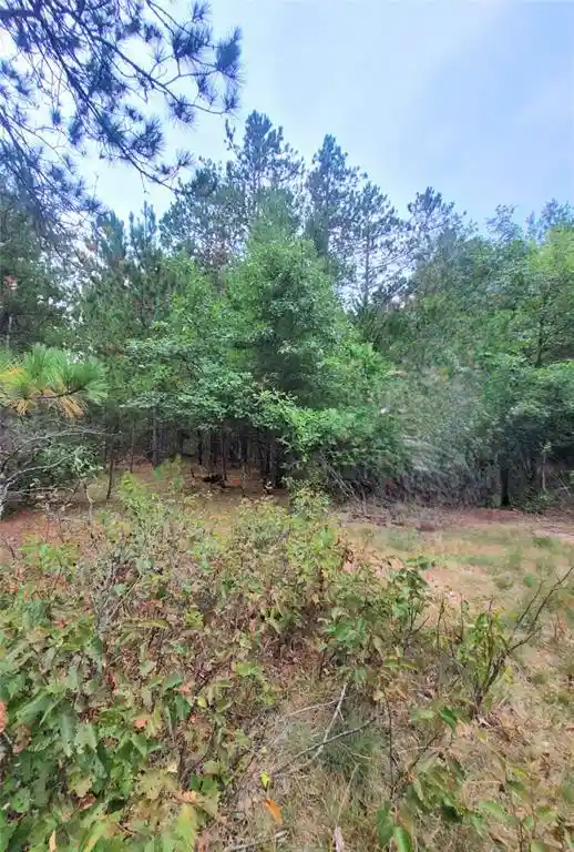 Photo 4 of Land for sale at 0 Blueberry Rd, Gordon, WI 54838 | MLS# 1604990 | Listing updated on 2026-09-10