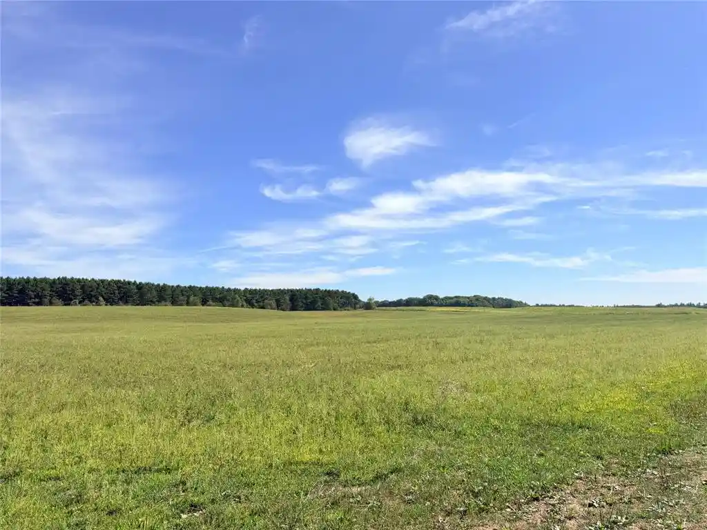 Photo 2 of Land for sale at 0 Peterson Rd, Bruce, WI 54819 | MLS# 1604814 | Listing updated on 2026-09-20