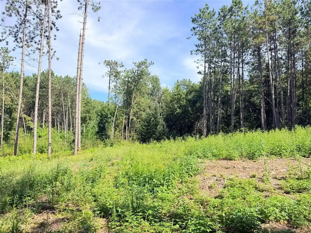 Photo 3 of Land for sale at 0 Peterson Rd, Bruce, WI 54819 | MLS# 1604814 | Listing updated on 2026-09-20