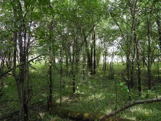 Photo 3 of Land for sale at Lot 2 Gov County Rd A, Wisconsin Dells, WI 53965 | MLS# 2032394 | Listing updated on 2026-09-10