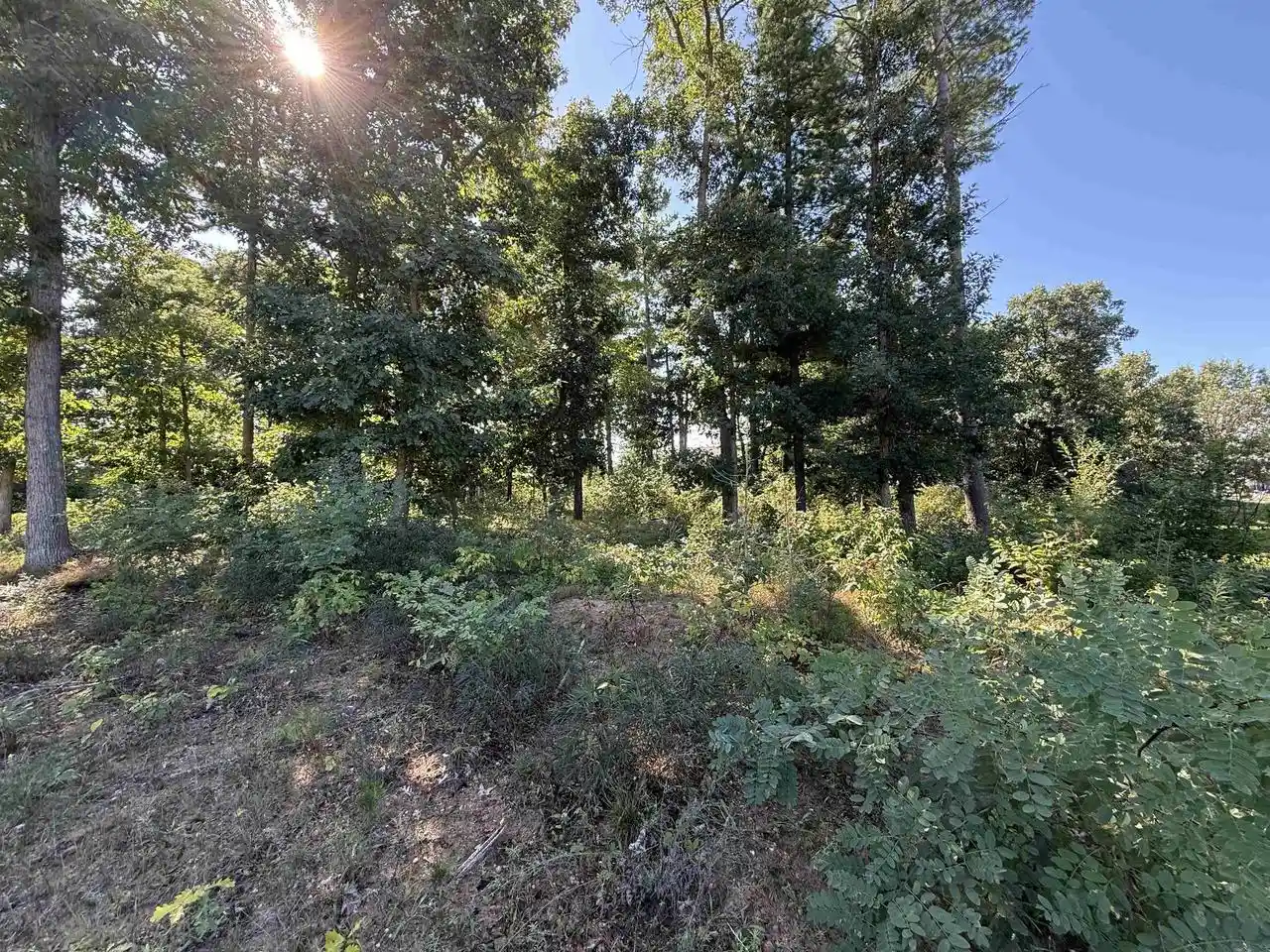 Photo 1 of Land for sale at 1005 Jeremy Ct #Lot 16 Sherman Place, Stevens Point, WI 54481 | MLS# 22604483 | Listing updated on 2026-09-11