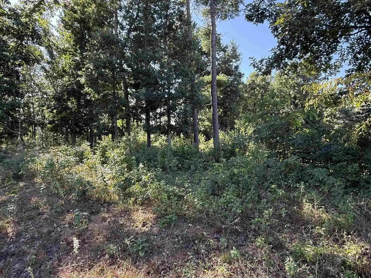 Photo 2 of Land for sale at 1005 Jeremy Ct #Lot 16 Sherman Place, Stevens Point, WI 54481 | MLS# 22604483 | Listing updated on 2026-09-11