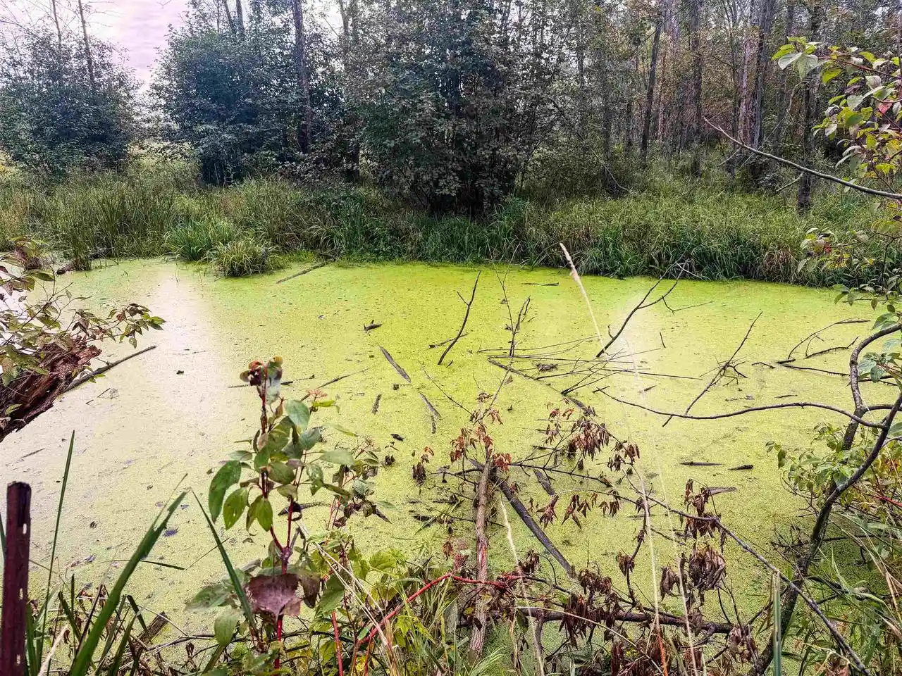 Photo 2 of Land for sale at State Rd 54, New London, WI 54961 | MLS# 50332442 | Listing updated on 2026-09-10