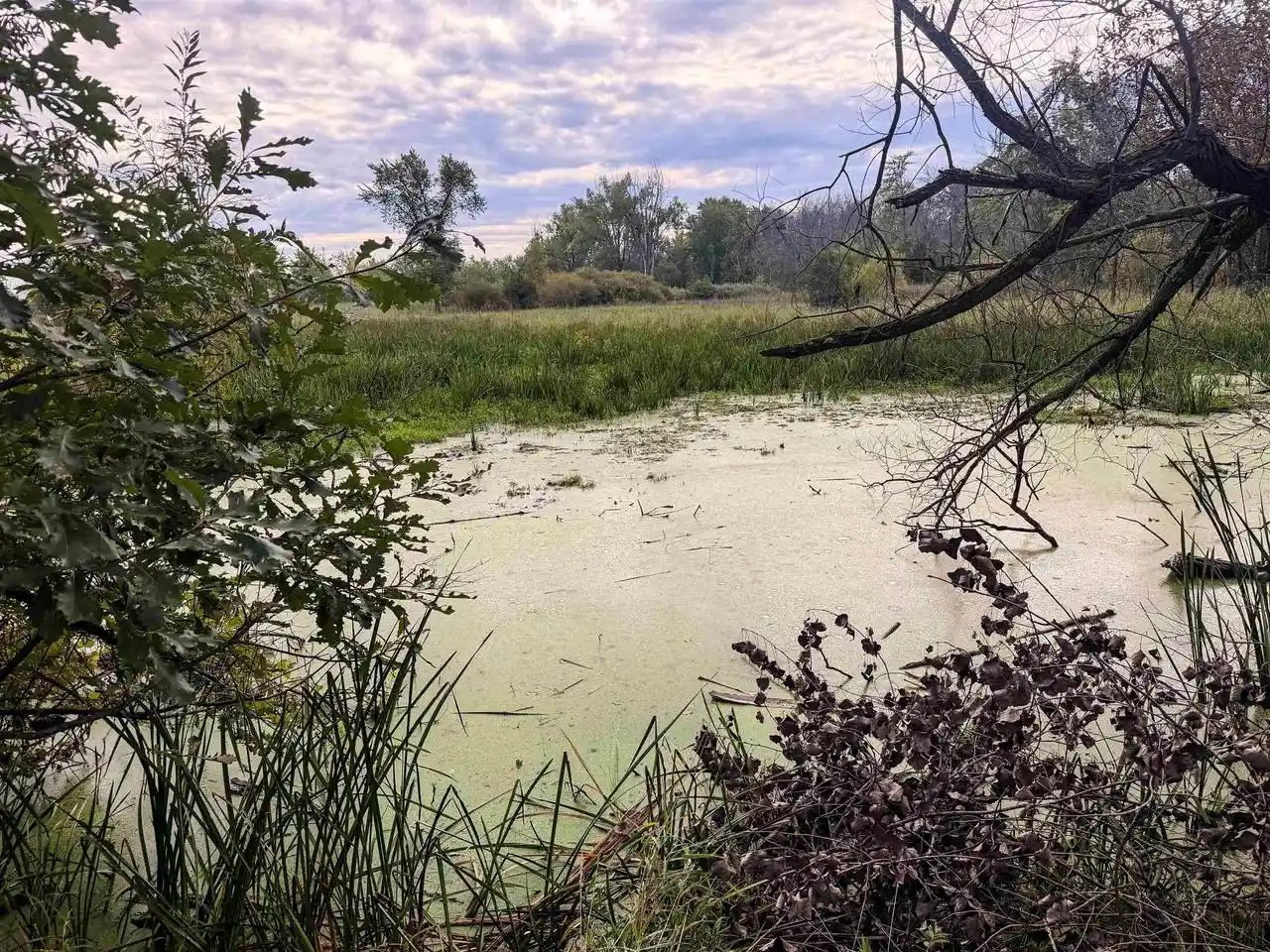Photo 3 of Land for sale at State Rd 54, New London, WI 54961 | MLS# 50332442 | Listing updated on 2026-09-10
