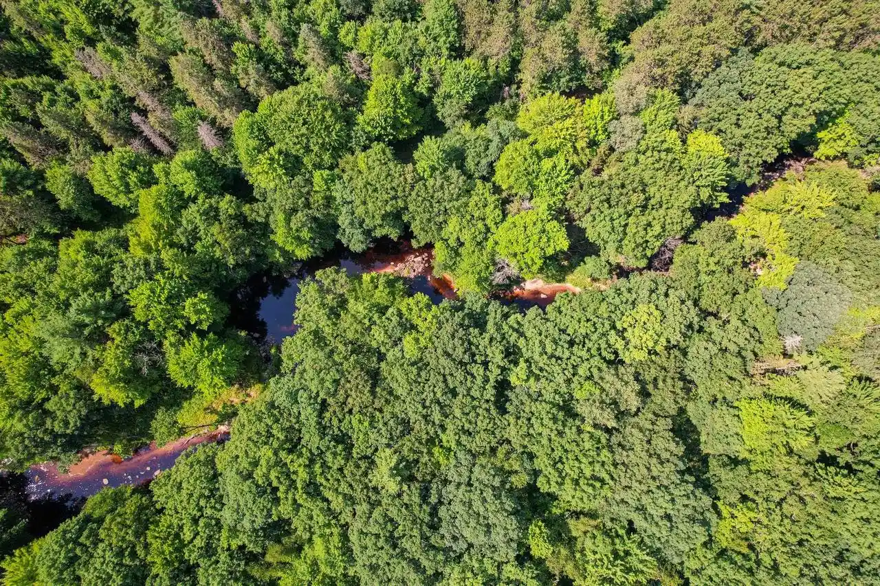 Photo 1 of Land for sale at 11901 Sparks Rd, Pittsville, WI 54466 | MLS# 2032434 | Listing updated on 2026-09-10