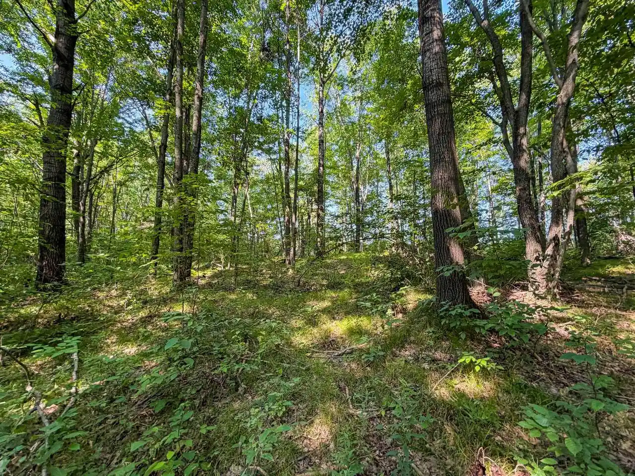 Photo 2 of Land for sale at 11901 Sparks Rd, Pittsville, WI 54466 | MLS# 2032434 | Listing updated on 2026-09-10