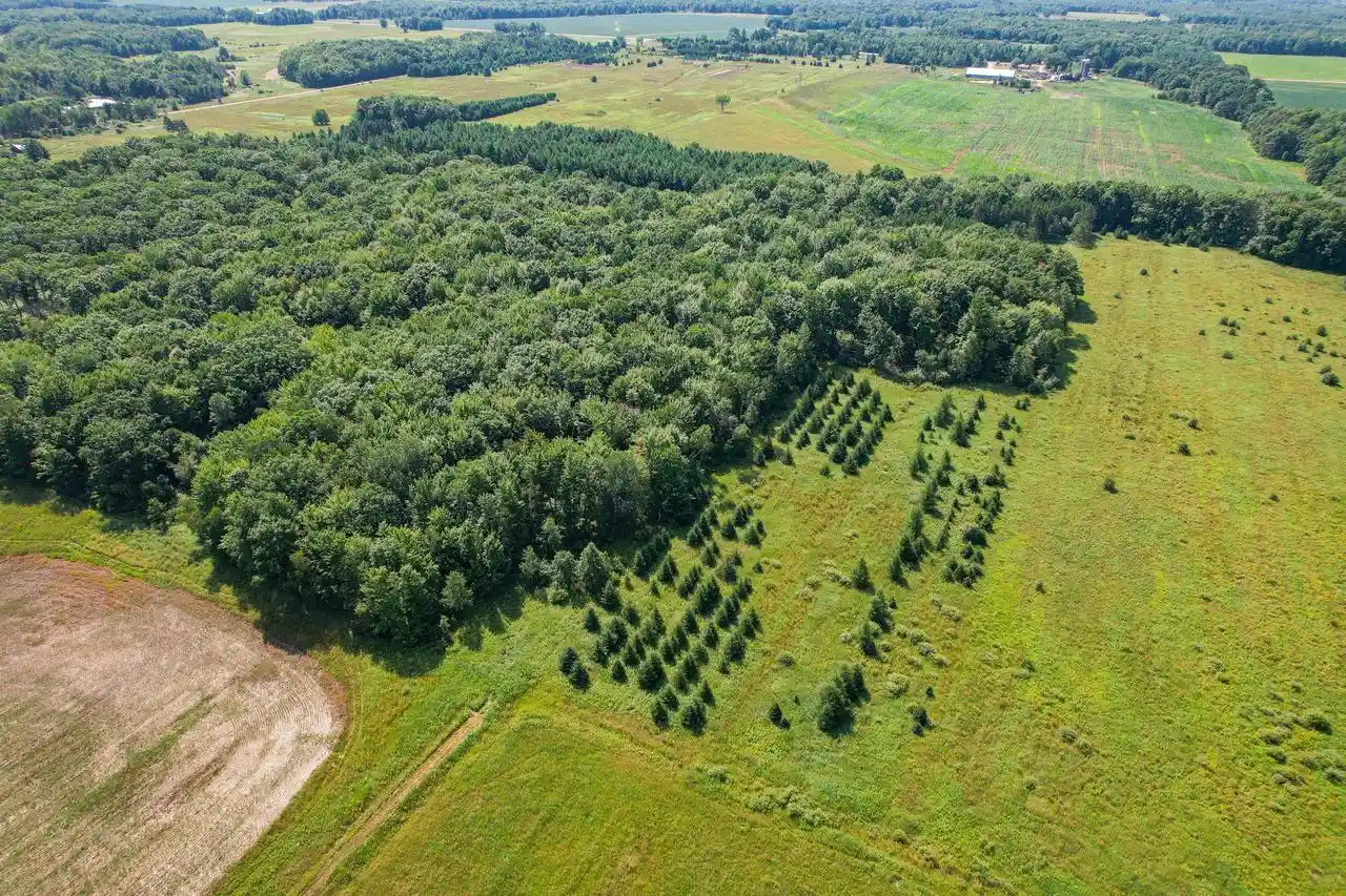 Photo 3 of Land for sale at 11901 Sparks Rd, Pittsville, WI 54466 | MLS# 2032434 | Listing updated on 2026-09-10