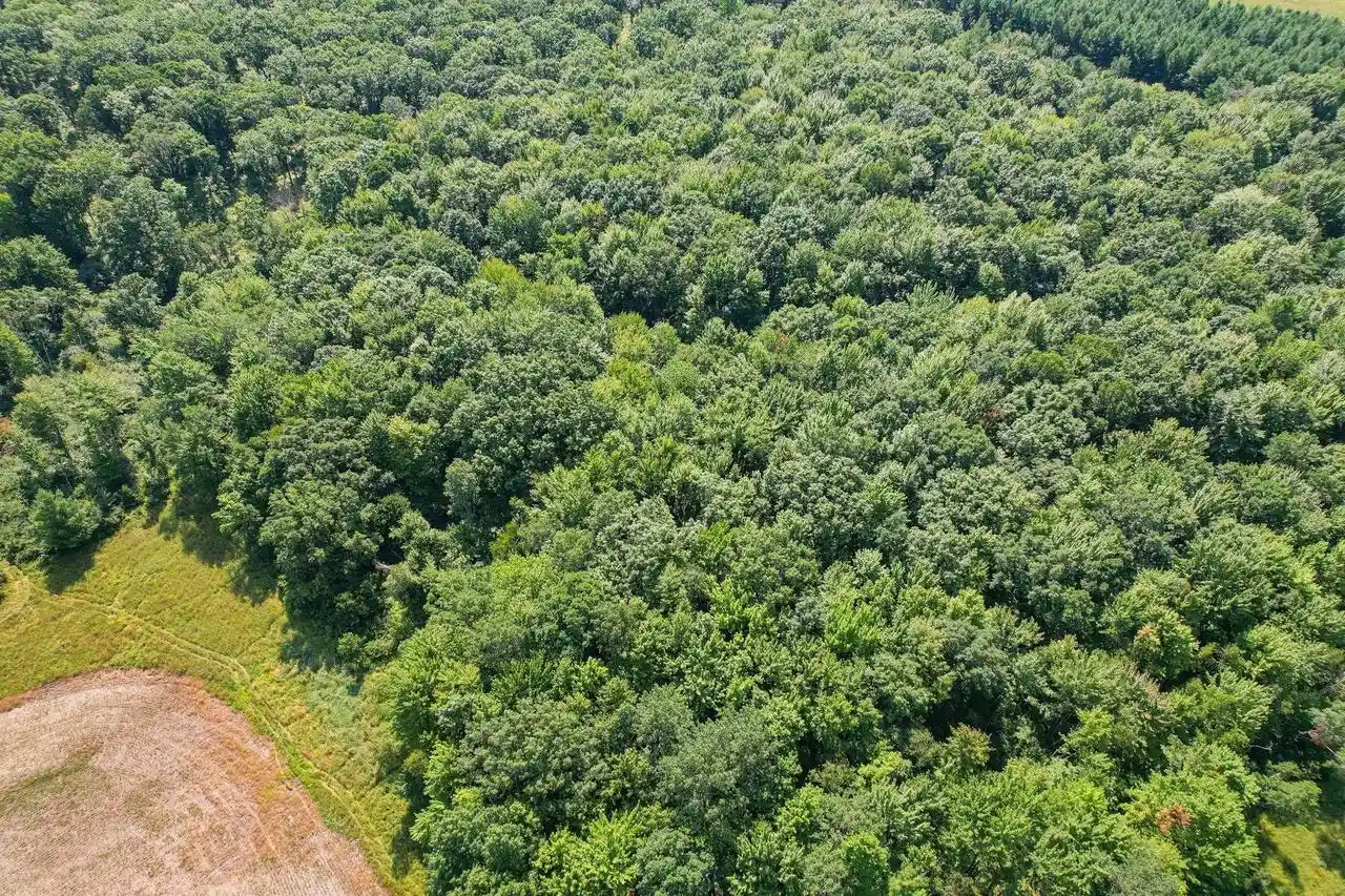 Photo 3 of Land for sale at 11901 Sparks Rd, Pittsville, WI 54466 | MLS# 2032434 | Listing updated on 2026-09-10