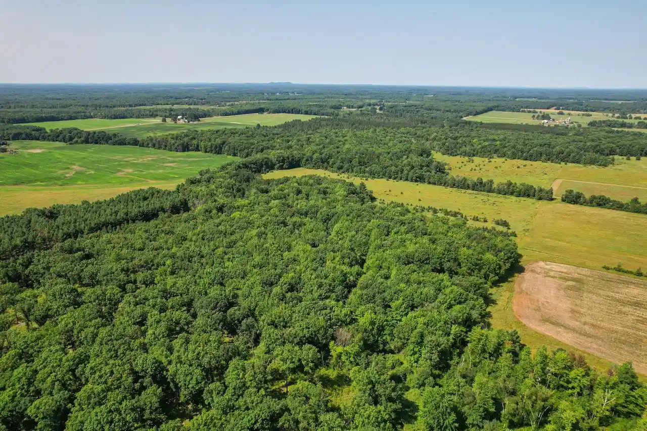 Photo 4 of Land for sale at 11901 Sparks Rd, Pittsville, WI 54466 | MLS# 2032434 | Listing updated on 2026-09-10