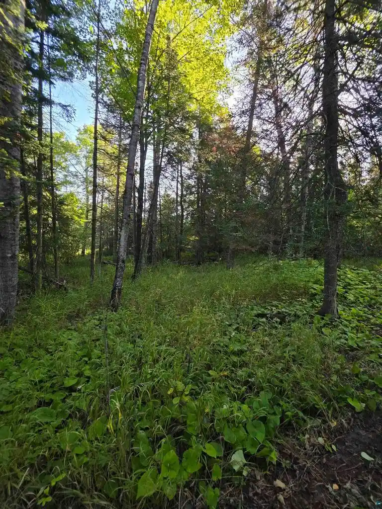 Photo 4 of Land for sale at Tbd State Hwy 13, South Range, WI 54874 | MLS# 6127898 | Listing updated on 2026-09-10