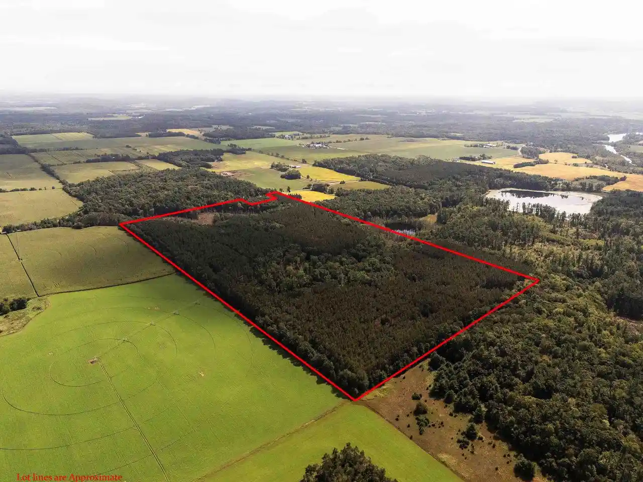Photo 1 of Land for sale at 77 +/  Acres Tomorrow River Rd, Amherst, WI 54407 | MLS# 2032467 | Listing updated on 2026-09-11