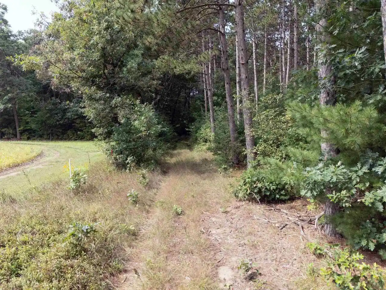 Photo 2 of Land for sale at 77 +/  Acres Tomorrow River Rd, Amherst, WI 54407 | MLS# 2032467 | Listing updated on 2026-09-11