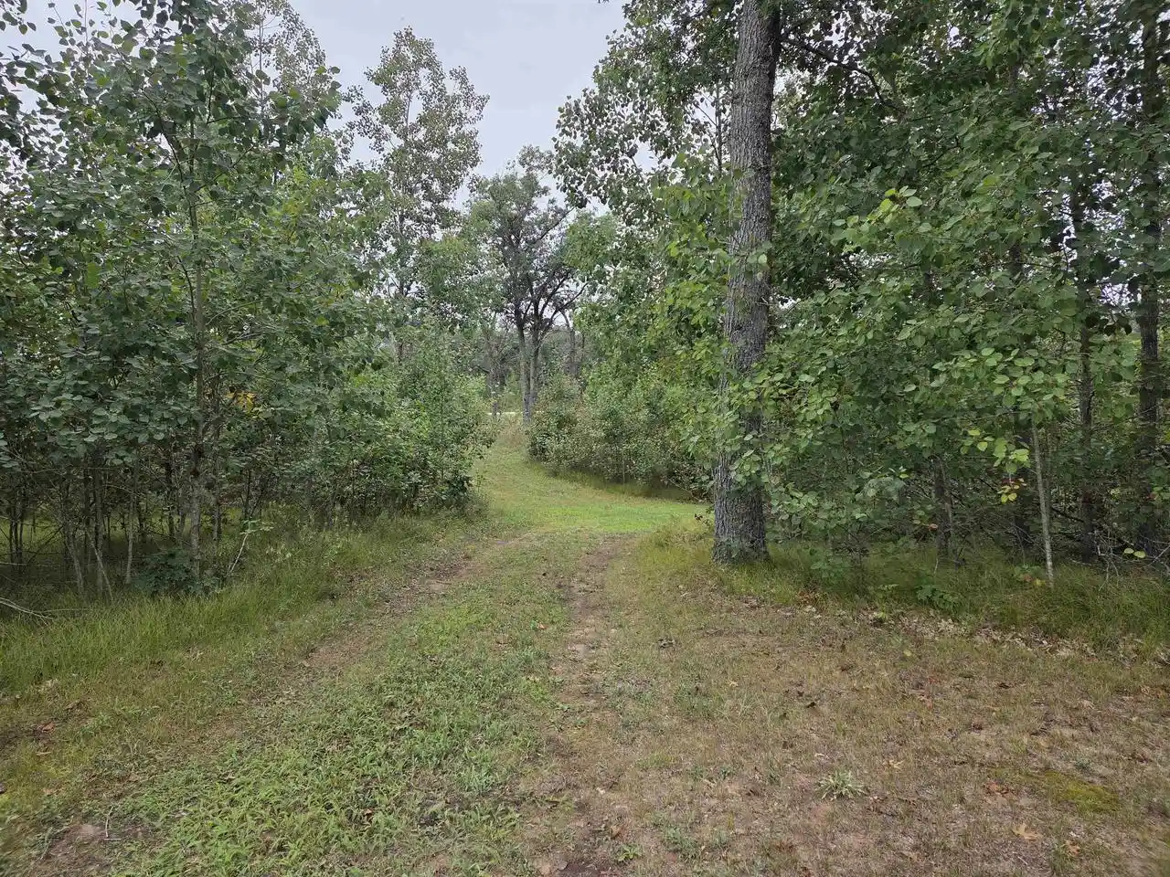 Photo 2 of Land for sale at N7100 Acorn Ln, Crivitz, WI 54114 | MLS# 50332546 | Listing updated on 2026-09-15