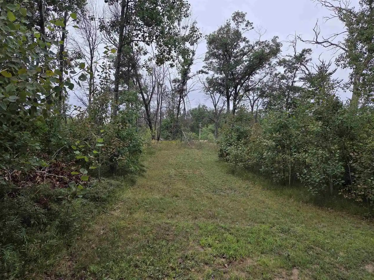 Photo 3 of Land for sale at N7100 Acorn Ln, Crivitz, WI 54114 | MLS# 50332546 | Listing updated on 2026-09-15