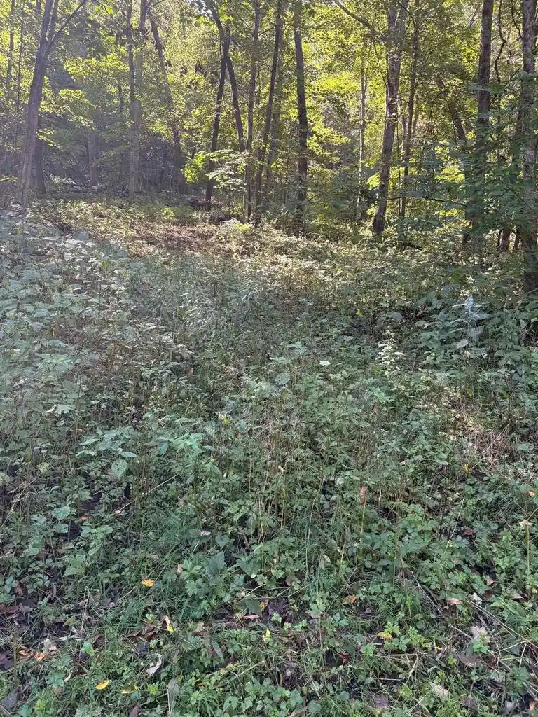 Land for sale at 0 Opals Ln, Gays Mills, WI 54631 | MLS# 2032481