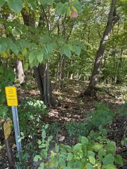 Photo 3 of Land for sale at 0 Opals Ln, Gays Mills, WI 54631 | MLS# 2032481 | Listing updated on 2026-09-13