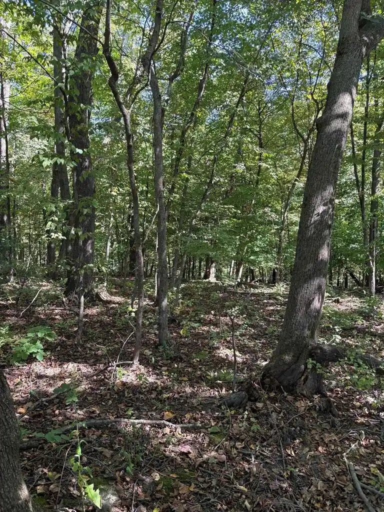 Photo 4 of Land for sale at 0 Opals Ln, Gays Mills, WI 54631 | MLS# 2032481 | Listing updated on 2026-09-13
