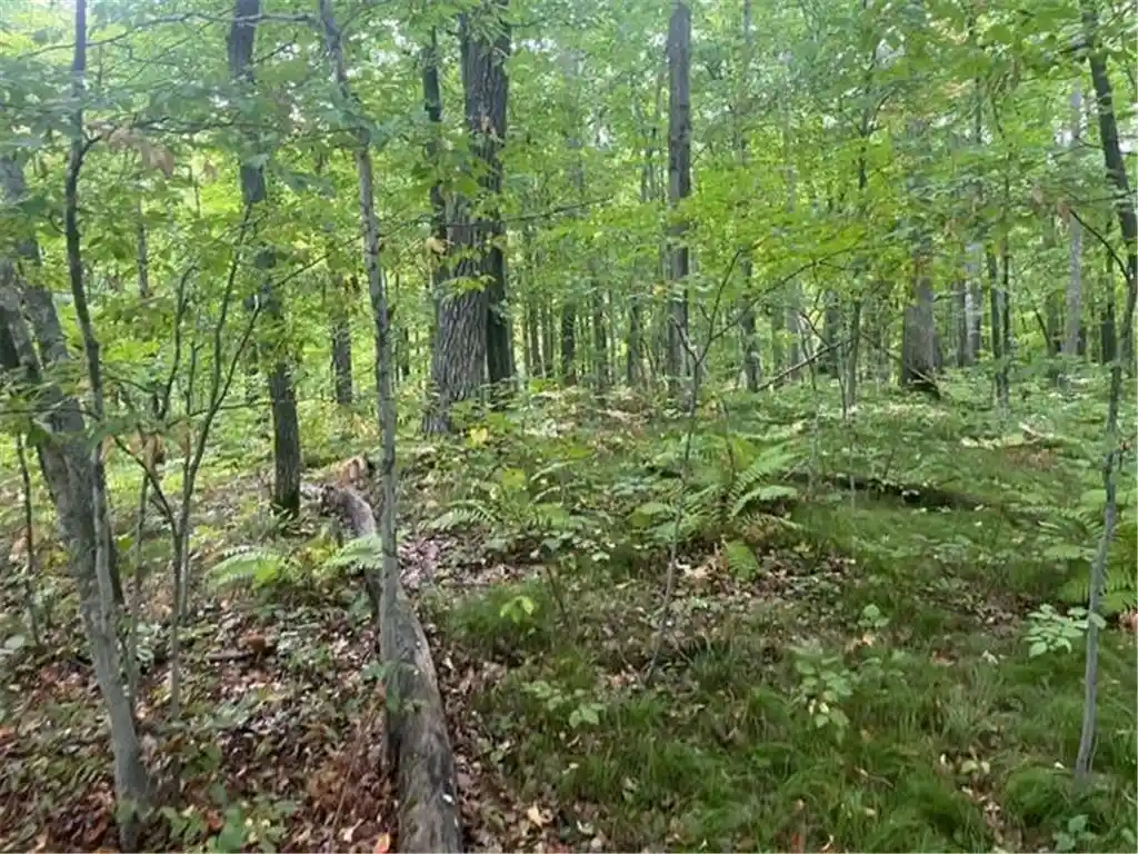 Photo 2 of Land for sale at 28xx 10th Street, Cumberland, WI 54829 | MLS# 7142723 | Listing updated on 2026-09-15