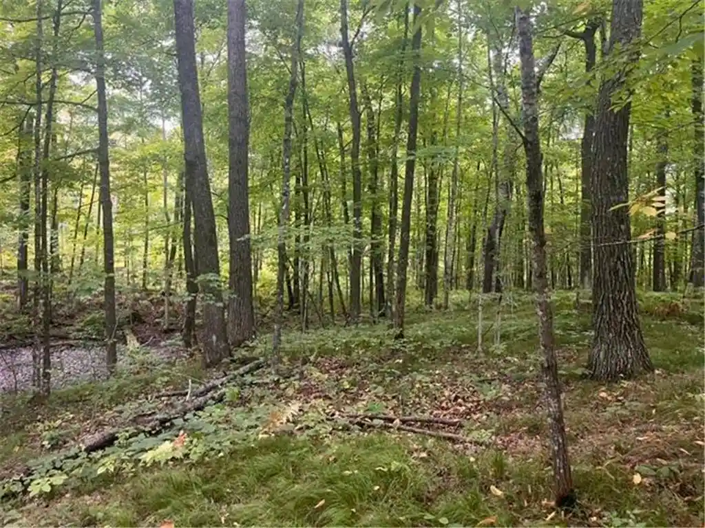 Photo 3 of Land for sale at 28xx 10th Street, Cumberland, WI 54829 | MLS# 7142723 | Listing updated on 2026-09-15