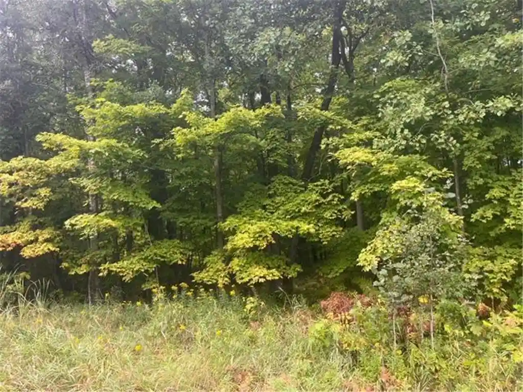 Photo 3 of Land for sale at 28xx 10th Street, Cumberland, WI 54829 | MLS# 7142723 | Listing updated on 2026-09-15
