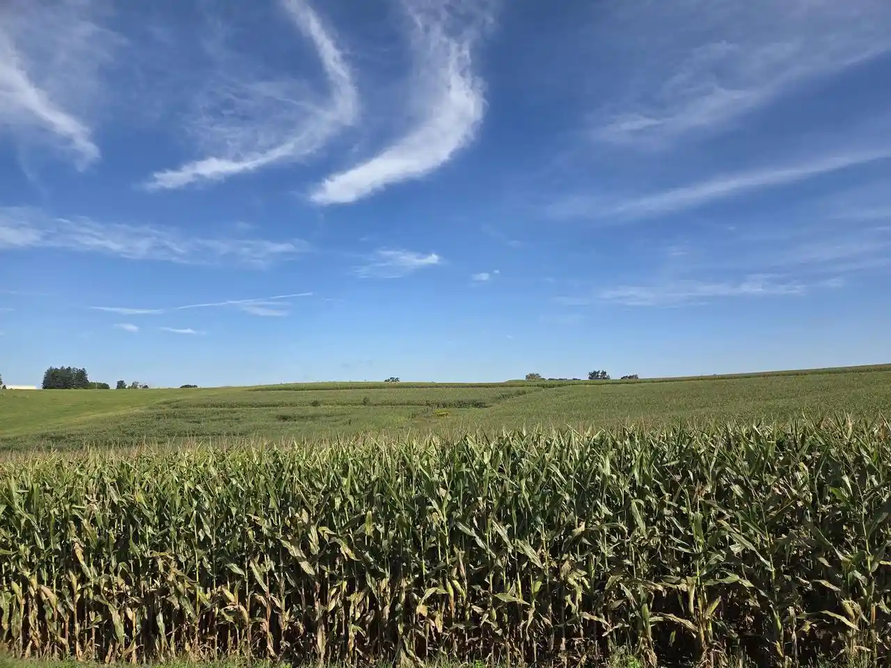 Photo 1 of Land for sale at 0000 Ridge Rd, Viroqua, WI 54665 | MLS# 2032486 | Listing updated on 2026-09-18