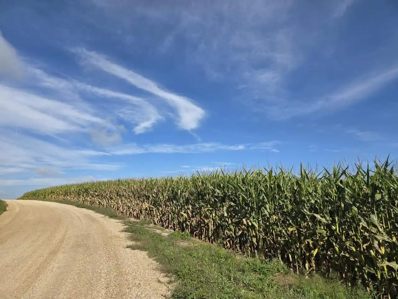 Photo 2 of Land for sale at 0000 Ridge Rd, Viroqua, WI 54665 | MLS# 2032486 | Listing updated on 2026-09-18