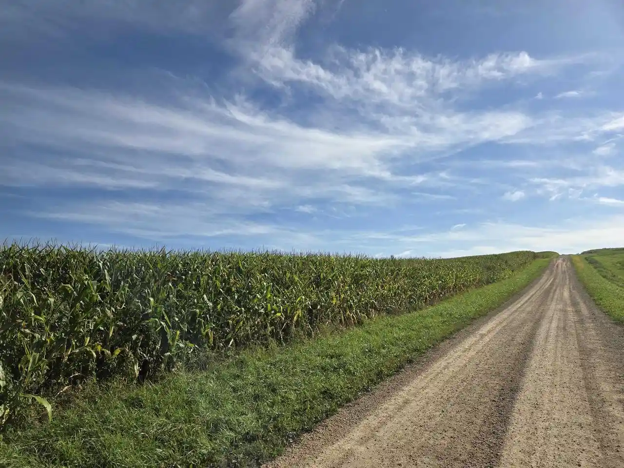 Photo 3 of Land for sale at 0000 Ridge Rd, Viroqua, WI 54665 | MLS# 2032486 | Listing updated on 2026-09-18