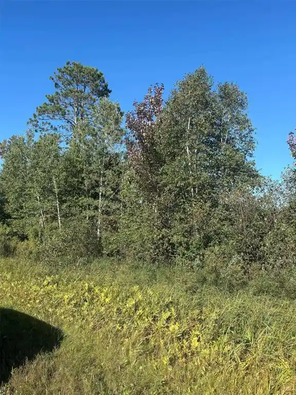 Photo 3 of Land for sale at 8360 S Old 11 Rd, Solon Springs, WI 54873 | MLS# 1605028 | Listing updated on 2026-09-17