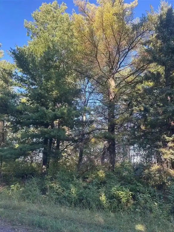 Photo 3 of Land for sale at 8360 S Old 11 Rd, Solon Springs, WI 54873 | MLS# 1605028 | Listing updated on 2026-09-17