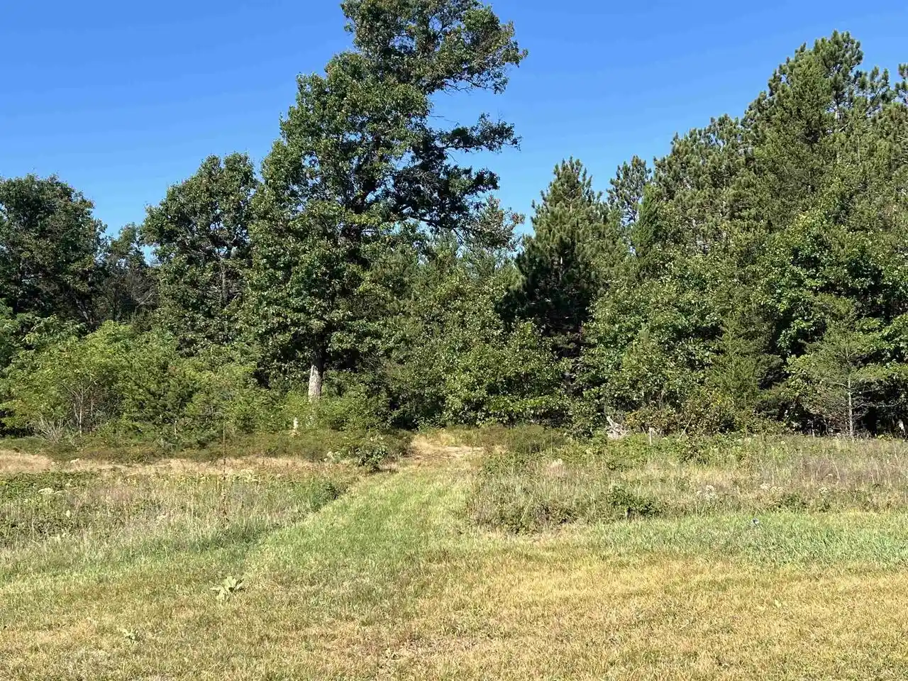 Photo 4 of Single family home for sale at 1053 Highway 13, Arkdale, WI 54613 | MLS# 2032520 | Listing updated on 2026-09-25
