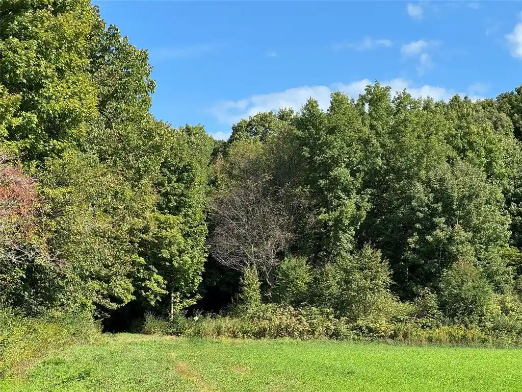 Photo 1 of Land for sale at Ooo County Rd L, Merrill, WI 54452 | MLS# 1605059 | Listing updated on 2026-09-16