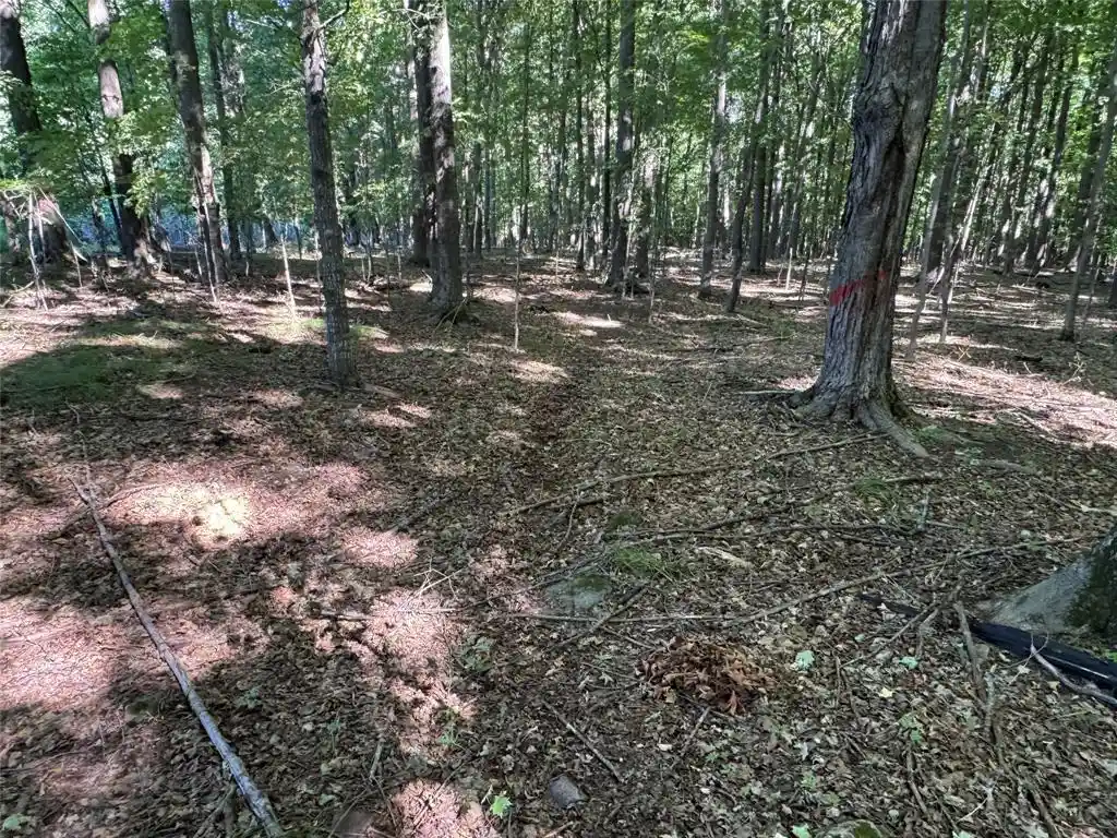Photo 2 of Land for sale at Ooo County Rd L, Merrill, WI 54452 | MLS# 1605059 | Listing updated on 2026-09-16