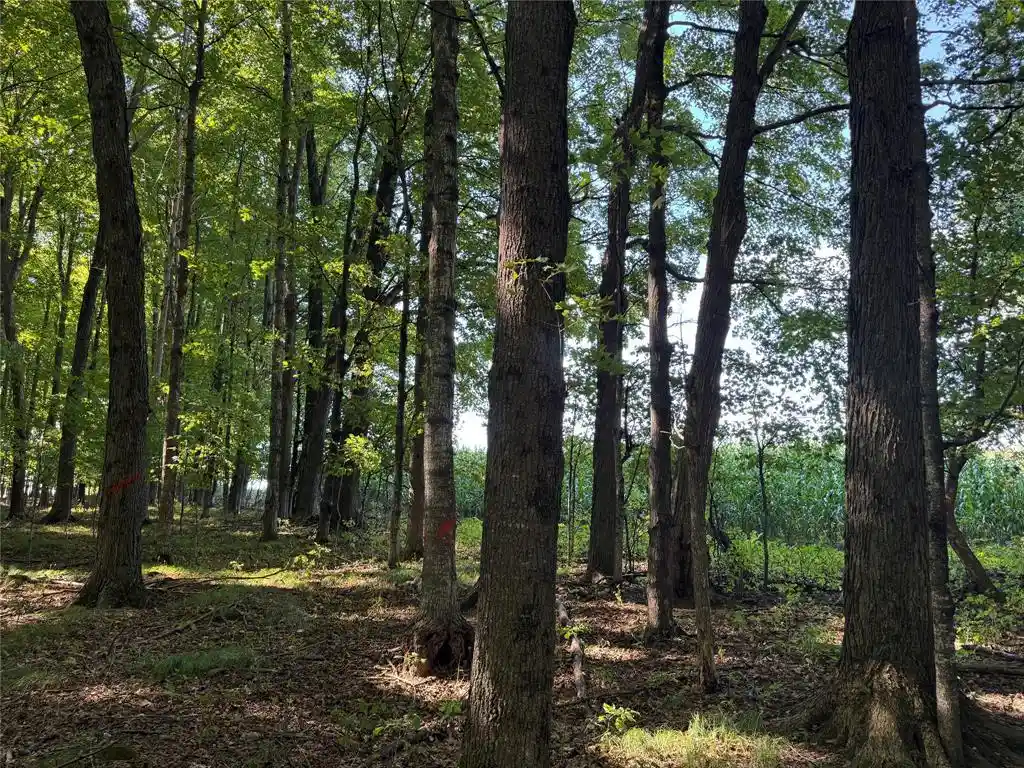 Photo 3 of Land for sale at Ooo County Rd L, Merrill, WI 54452 | MLS# 1605059 | Listing updated on 2026-09-16