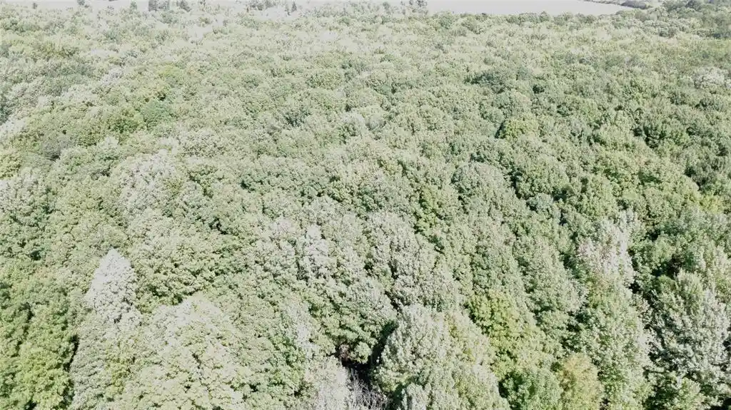 Photo 3 of Land for sale at Ooo County Rd L, Merrill, WI 54452 | MLS# 1605059 | Listing updated on 2026-09-16