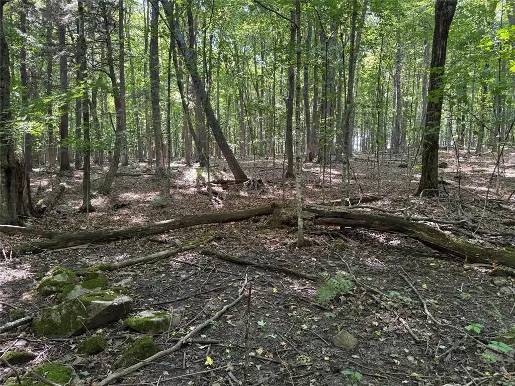 Photo 4 of Land for sale at Ooo County Rd L, Merrill, WI 54452 | MLS# 1605059 | Listing updated on 2026-09-16