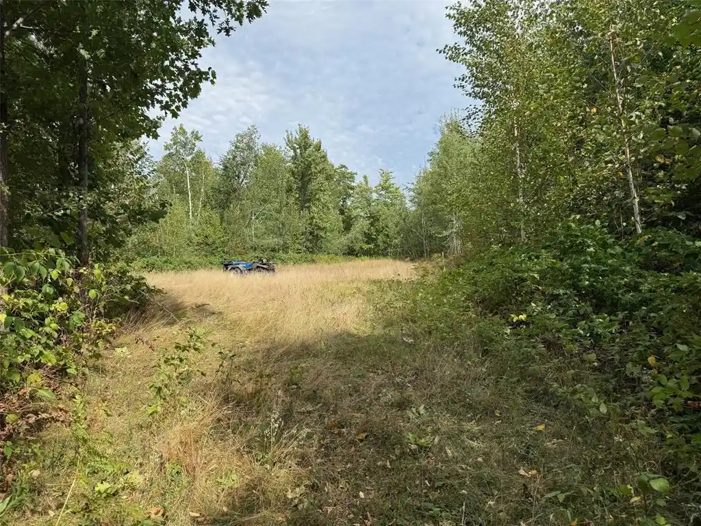 Photo 3 of Land for sale at 0 Edgewood Dr, Springbrook, WI 54875 | MLS# 1605076 | Listing updated on 2026-09-12