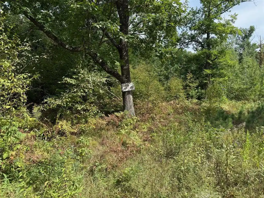 Photo 3 of Land for sale at 0 Edgewood Dr, Springbrook, WI 54875 | MLS# 1605076 | Listing updated on 2026-09-12