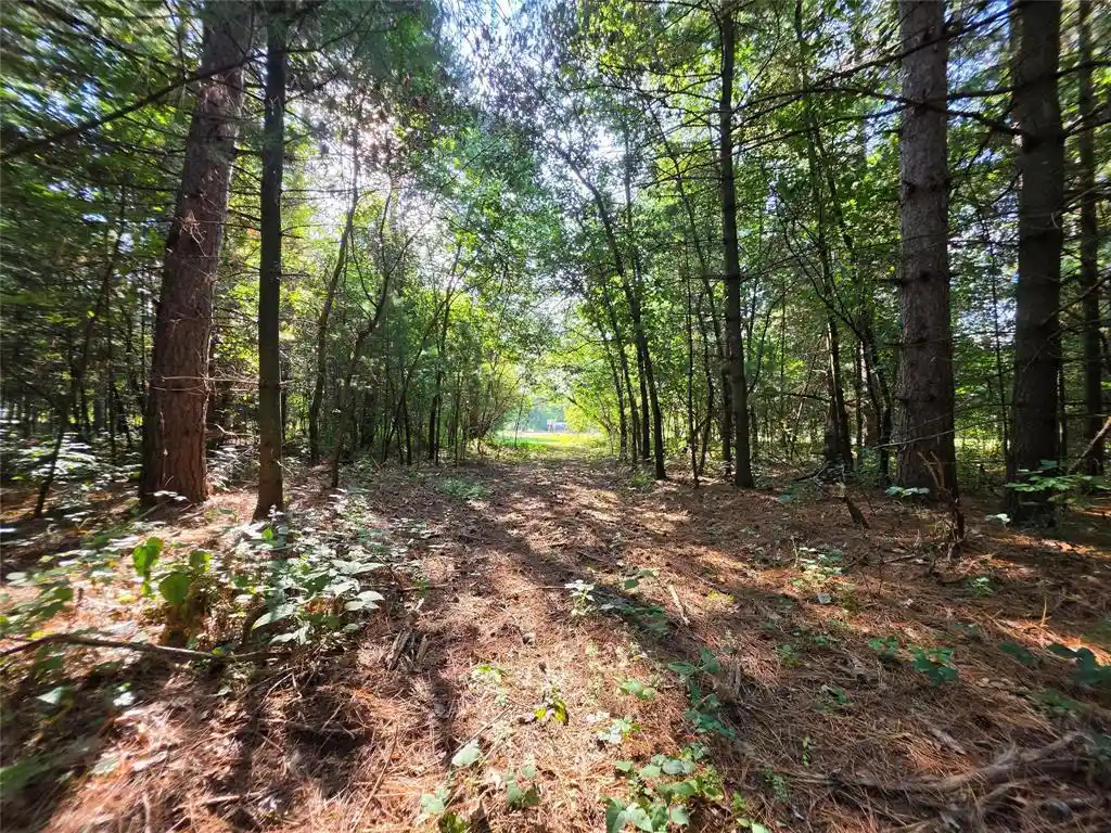 Photo 3 of Land for sale at 0 Buena Vista Rd, Eau Claire, WI 54739 | MLS# 1605008 | Listing updated on 2026-09-12
