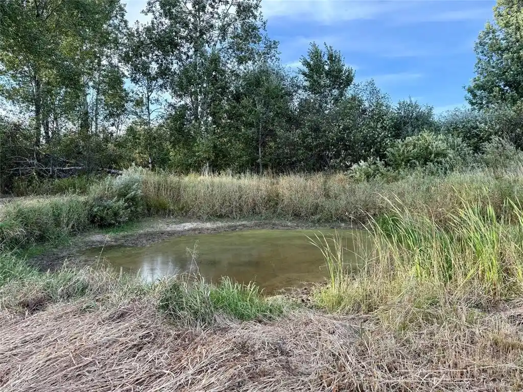 Photo 2 of Land for sale at Xx County Rd N, Kennan, WI 54537 | MLS# 1605049 | Listing updated on 2026-09-14