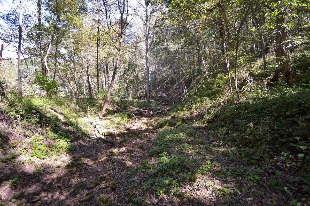 Photo 3 of Land for sale at 58828 Lightfoot Hills Ln, Ferryville, WI 54628 | MLS# 2032600 | Listing updated on 2026-09-17