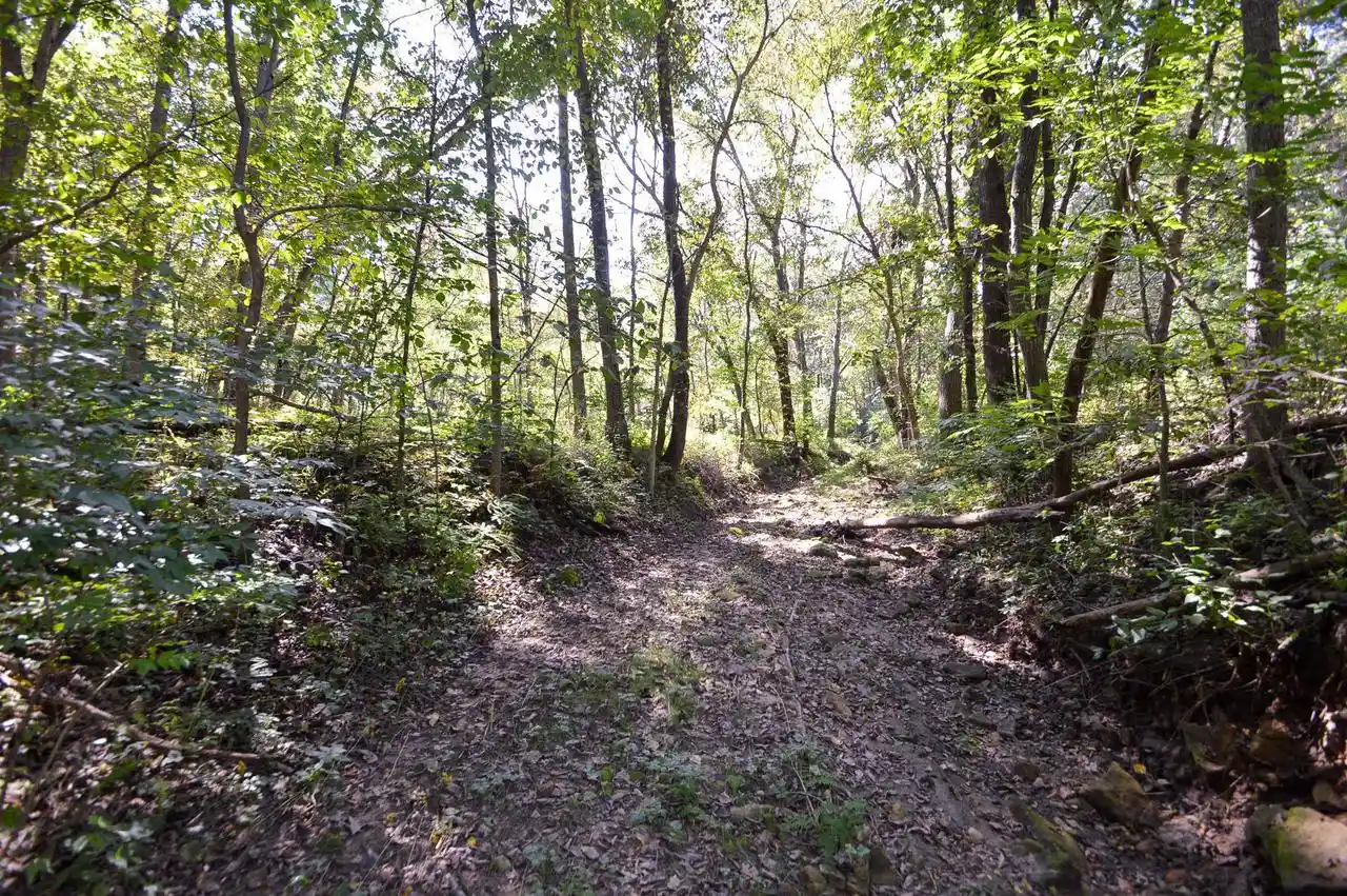 Photo 3 of Land for sale at 58828 Lightfoot Hills Ln, Ferryville, WI 54628 | MLS# 2032600 | Listing updated on 2026-09-17