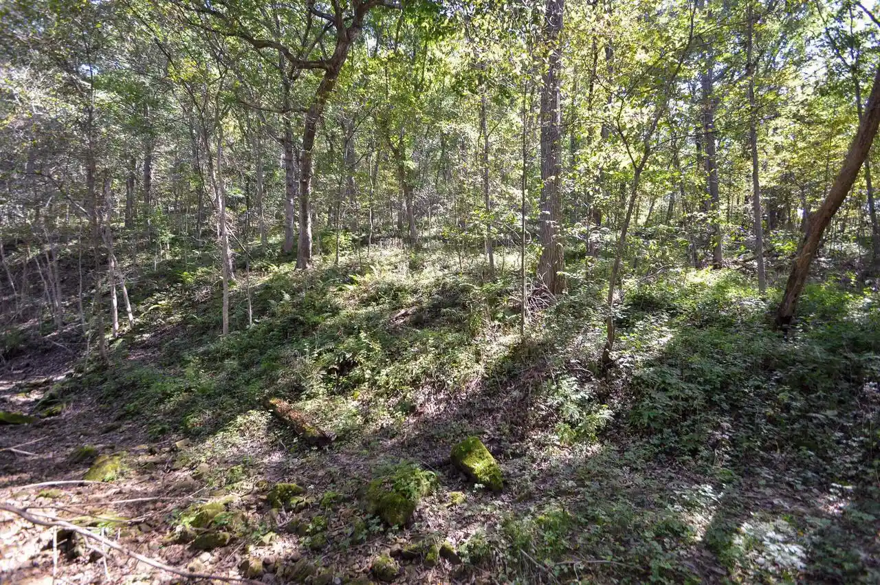 Photo 4 of Land for sale at 58828 Lightfoot Hills Ln, Ferryville, WI 54628 | MLS# 2032600 | Listing updated on 2026-09-17