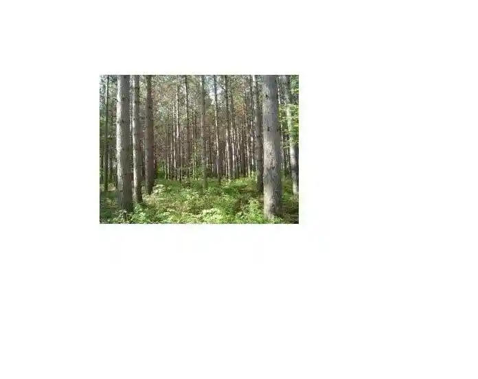 Photo 3 of Land for sale at Pine Ridge Trl, Abrams, WI 54101 | MLS# 50332553 | Listing updated on 2026-09-14