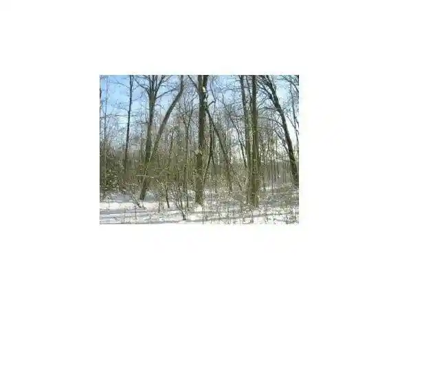 Photo 3 of Land for sale at Pine Ridge Trl, Abrams, WI 54101 | MLS# 50332553 | Listing updated on 2026-09-14