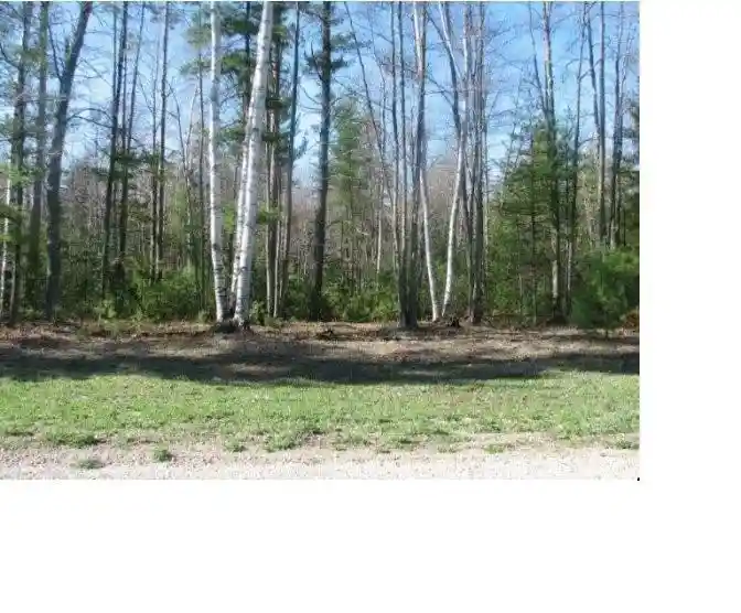 Photo 4 of Land for sale at Pine Ridge Trl, Abrams, WI 54101 | MLS# 50332553 | Listing updated on 2026-09-14