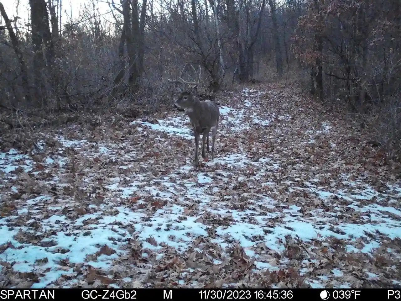 Photo 1 of Land for sale at 0 County Rd Dd, Ettrick, WI 54627 | MLS# 1980552 | Listing updated on 2026-09-14
