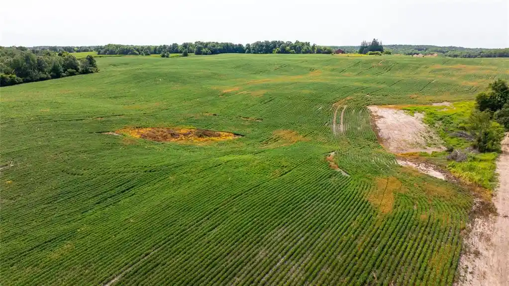 Photo 2 of Land for sale at Xxxx 190th Street, Centuria, WI 54824 | MLS# 1605124 | Listing updated on 2026-09-14
